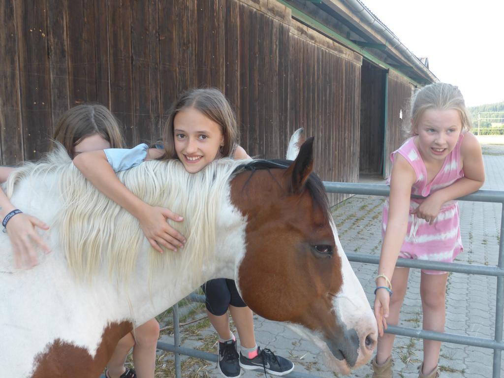 Espi-Stables Ferienhof Esterhammer Liebenau  Exterior photo